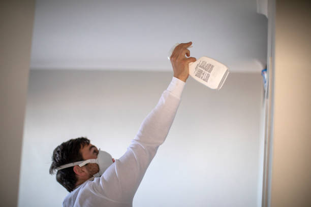 Best Mold Removal Specialists  in Arcadia, LA