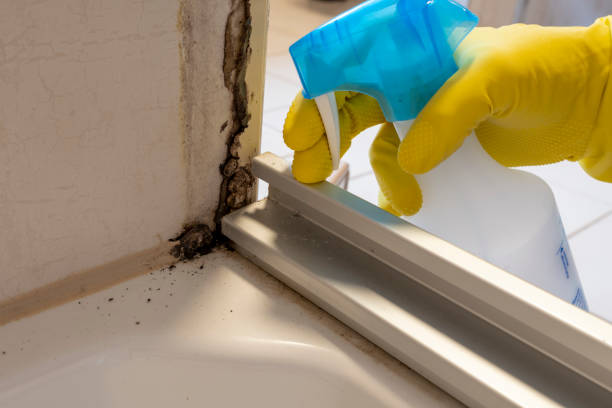 Best Commercial Mold Removal  in Arcadia, LA