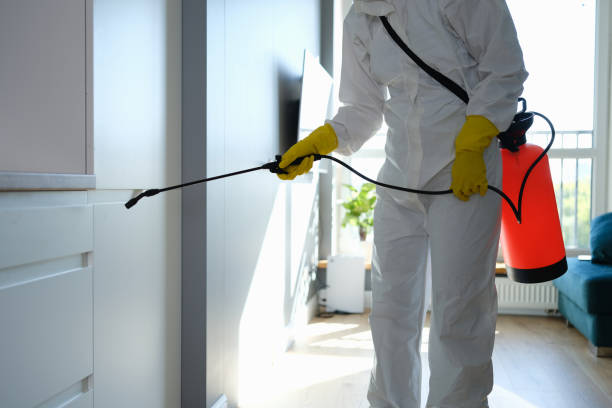 Best Office Mold Removal Services  in Arcadia, LA