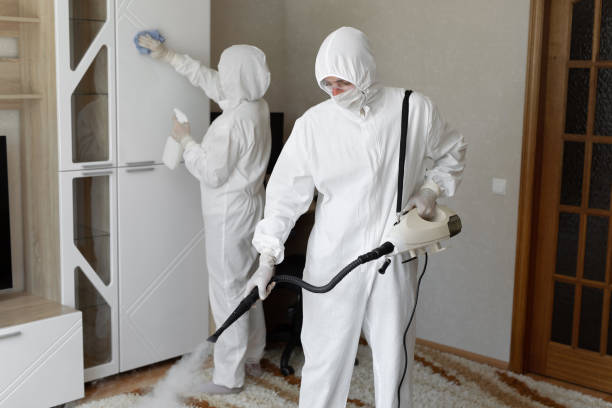 Attic Mold Removal in Arcadia, LA