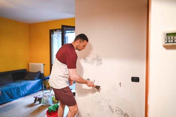 Best Crawl Space Mold Removal  in Arcadia, LA
