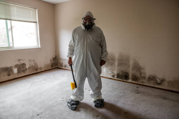 Certified Mold Removal in Arcadia, LA